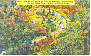 Newfound Gap Highway Smoky Mountains National Park Nc Postcard P17637