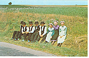 Young Amish Boys And Girls, Pa Dutch Country Postcard P17699