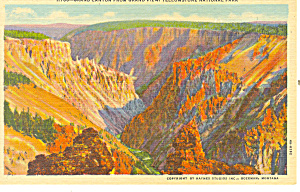 Grand Canyon Yellowstone National Park Wy Postcard P18466