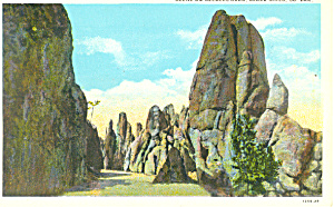 Needles Highway Black Hills Sd Postcard P18534