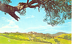 Hearst Castle California Postcard P19769