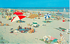 Sun Bathers On The Beach Postcard P19804