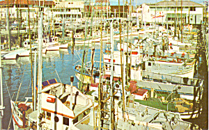 Fishing Fleet Fisherman S Wharf San Francisco Ca P21427