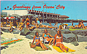 Beach Scene Ocean City New Jersey P21655