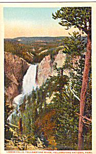 Lower Falls Of The Yellowstone,yellowstone Park