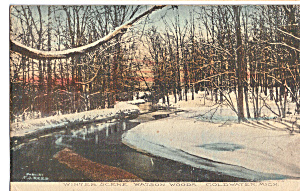 Watson Woods Coldwater Michigan P23902