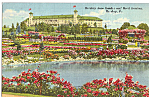 Hotel Hershey And Hershey Rose Garden P24449