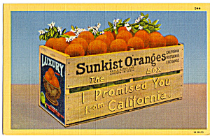 Sunkist Orange Box Postcard P24494