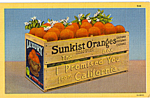 Sunkist Orange Box Postcard P24495