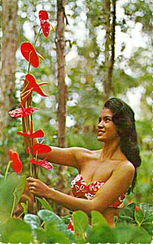 Hawaiian Anthuriums Postcard P27711