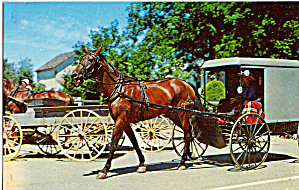 Amish Family In Buggy Postcard P28632