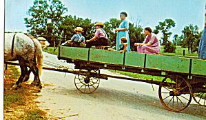 Amish Girls Driving The Farm Wagon Postcard P28653