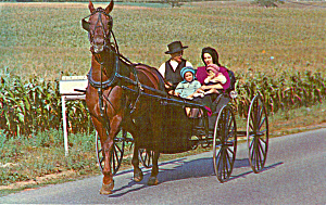 Amish Family In Horse And Buggy P30703