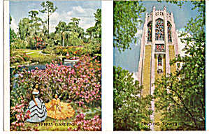 Cypress Gardens Singing Tower Florida P30837