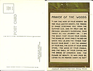 Hammock State Park Florida Prayer Of Woods P32096