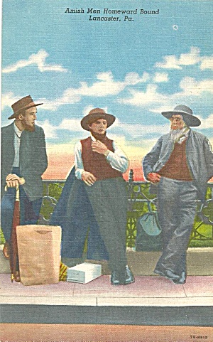 Amish Men Going Home Lancaster Pa P33347