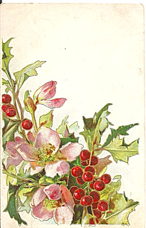 Vintage Postcard Holly Berries And Flowers Embossed P35214