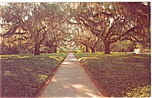 Brookgreen Gardens South Carolina Postcard P3526