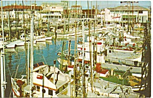 San Francisco Ca Fishing Fleet Postcard P36500