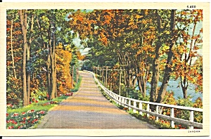 Autumn Country Road Linen Card P37451