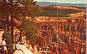Varicolored Limestone Bryce Canyon National Park Utah P38101