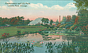 Chicago Il Lincoln Park Conservatory And Lily Pond P39735