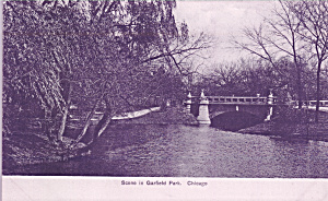 Chicago Il Garfield Park Pond And Bridge Scene P39787