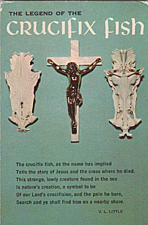 Legend Of The Crucifix Fish Postcard P39993