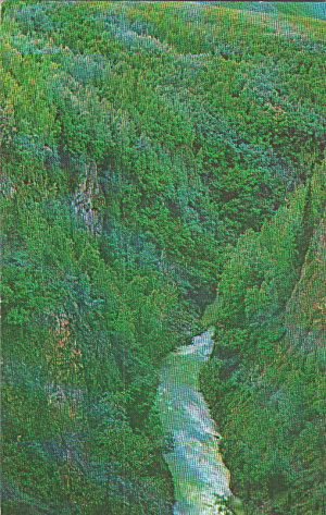 Anchorage Palmer Highway Alaska Eklutna Gorge Postcard P40328