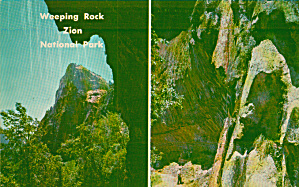 Zion National Park Utah Weeping Rock Postcard P40582