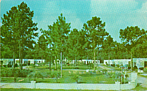 Perry Florida Perry Motor Court Postcard P40593