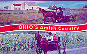 Ohio S Amish Country Buggies P40625