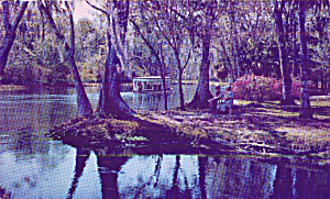 Alnog Silver River Silver Springs Florida Glass Bottom Boat P41016