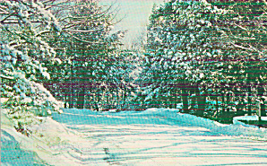 The Poconos Of Pennsylvania Winter Scenen P41253
