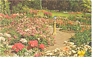 Victoria Bc Canada Butchart Gardens Postcard P4145