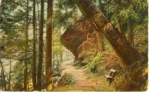 Woodland Pathway Postcard W0626