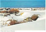 White Sands National Monument NM Postcard cs0374