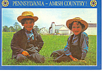 Amish Boys in Meadow Postcard cs0914