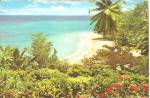 Beautiful Coastline Jamaica W.I. cs10301