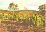 Scenic Meadow German Postcard cs1038