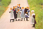 Amish Schoolgirls Postcard cs1559