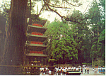 Beautiful Five Storied Pagoda  Japan Postcard cs1615