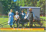 Amish Family with Buggy Postcard cs1781