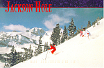 Jackson Hole Wyoming Postcard cs1989 1997