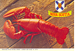 Lobster is King Nova Scotia Canada cs2651