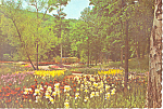 Sterling Forest Gardens Tuxedo New York Postcard cs3230