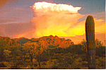 Storm over Ajo Mountains  Arizona cs4895