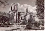 Notre Dame Vue du Square Viviani Paris France cs6089