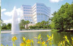 Mayo Clinic Jacksonville Florida cs6148