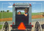 Amish Children in Buggy Postcard cs7028